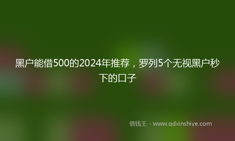黑户能借500的2024年推荐，罗列5个无视黑户秒下的口子