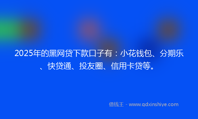 2025年的黑网贷下款口子有：小花钱包、分期乐、快贷通、投友圈、信用卡贷等。