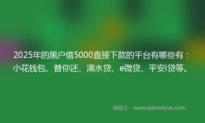 2025年的黑户借5000直接下款的平台有哪些有：小花钱包、替你还、滴水贷、e微贷、平安i贷等。