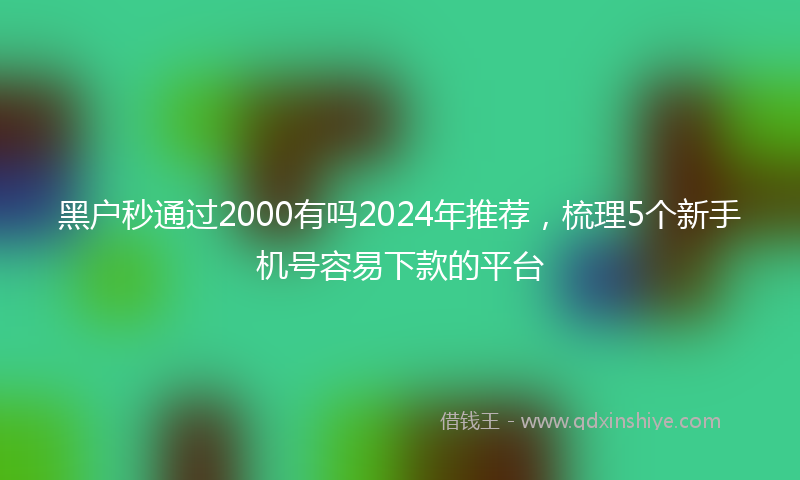 黑户秒通过2000有吗2024年推荐，梳理5个新手机号容易下款的平台