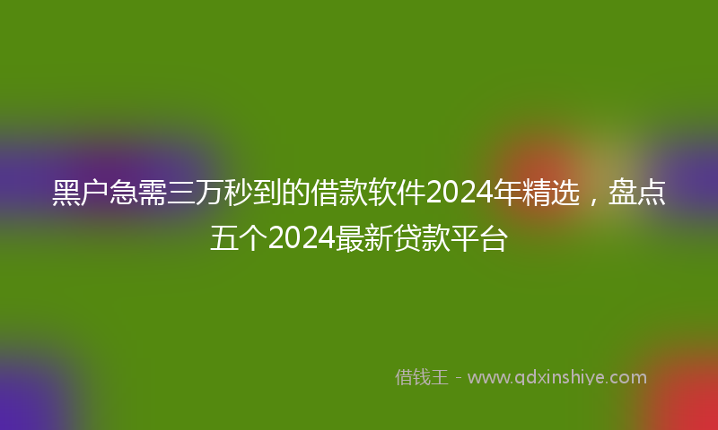 黑户急需三万秒到的借款软件2024年精选，盘点五个2024最新贷款平台