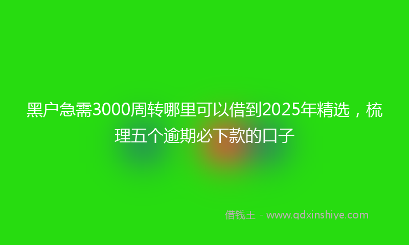 黑户急需3000周转哪里可以借到2025年精选，梳理五个逾期必下款的口子