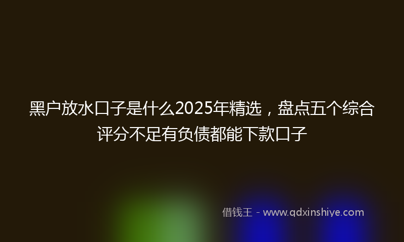 黑户放水口子是什么2025年精选，盘点五个综合评分不足有负债都能下款口子