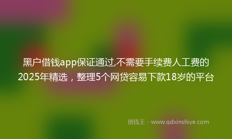 黑户借钱app保证通过,不需要手续费人工费的2025年精选，整理5个网贷容易下款18岁的平台