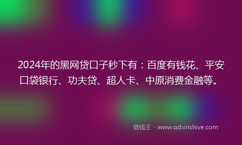 2024年的黑网贷口子秒下有：百度有钱花、平安口袋银行、功夫贷、超人卡、中原消费金融等。