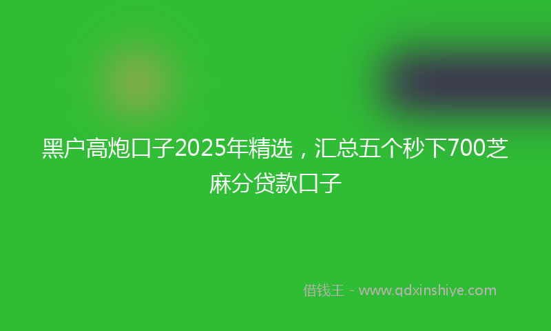 黑户高炮口子2025年精选，汇总五个秒下700芝麻分贷款口子