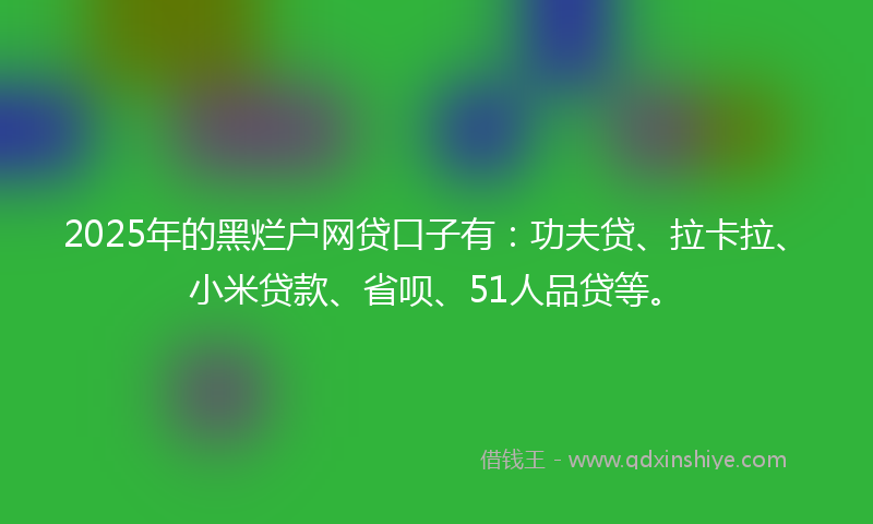 2025年的黑烂户网贷口子有：功夫贷、拉卡拉、小米贷款、省呗、51人品贷等。