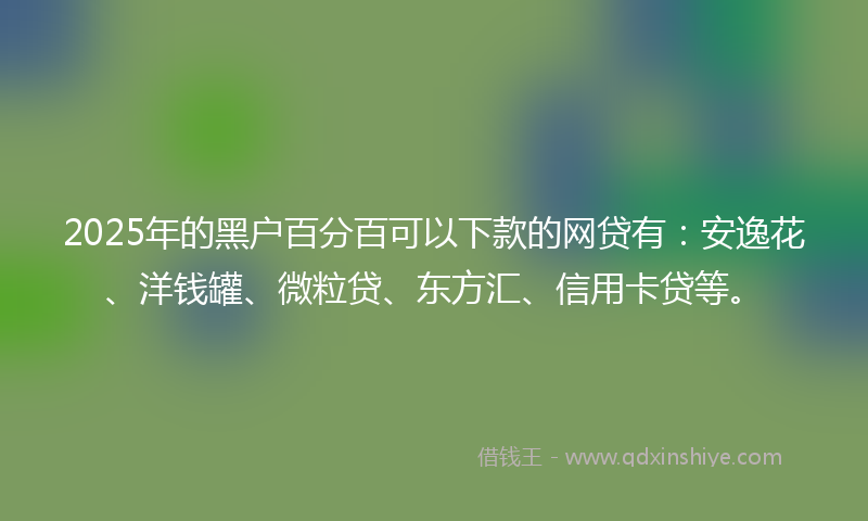 2025年的黑户百分百可以下款的网贷有：安逸花、洋钱罐、微粒贷、东方汇、信用卡贷等。