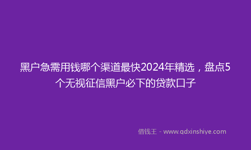 黑户急需用钱哪个渠道最快2024年精选，盘点5个无视征信黑户必下的贷款口子