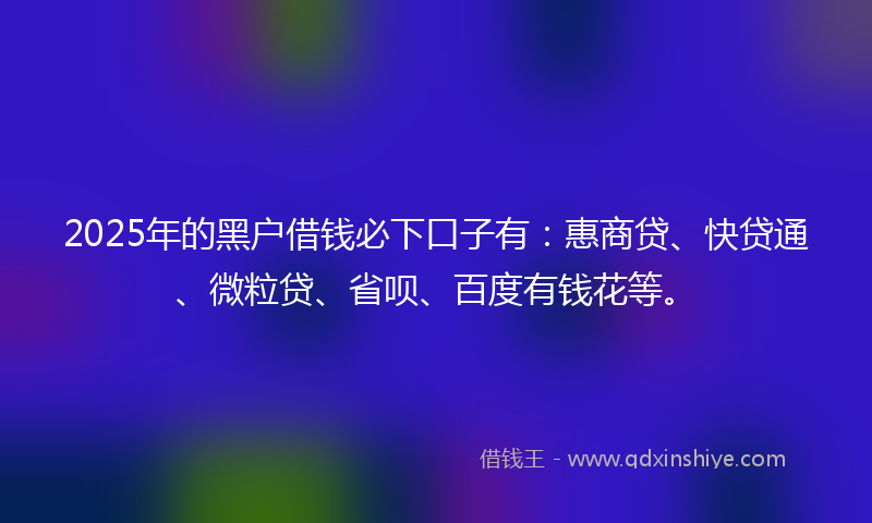 2025年的黑户借钱必下口子有：惠商贷、快贷通、微粒贷、省呗、百度有钱花等。