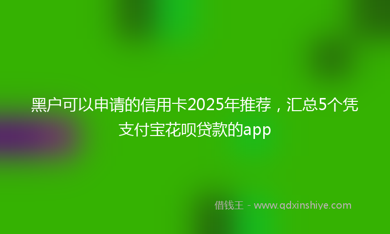 黑户可以申请的信用卡2025年推荐，汇总5个凭支付宝花呗贷款的app