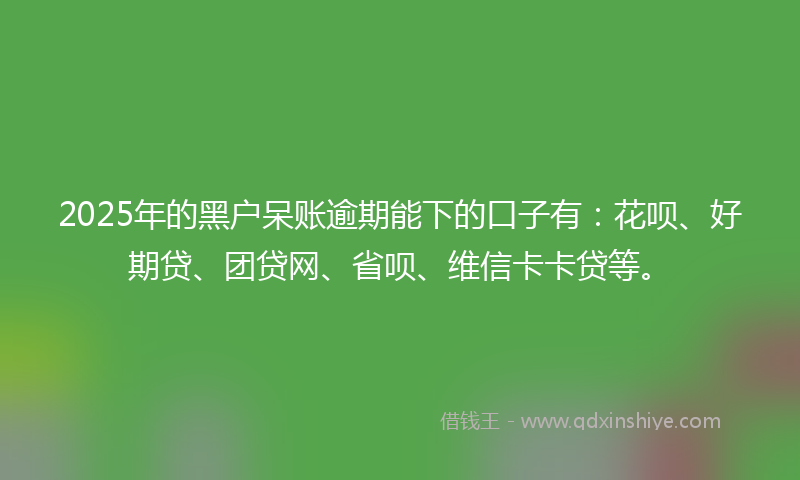 2025年的黑户呆账逾期能下的口子有：花呗、好期贷、团贷网、省呗、维信卡卡贷等。