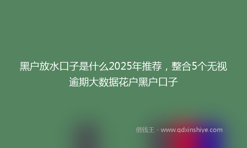 黑户放水口子是什么2025年推荐，整合5个无视逾期大数据花户黑户口子