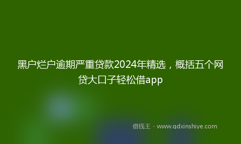 黑户烂户逾期严重贷款2024年精选，概括五个网贷大口子轻松借app