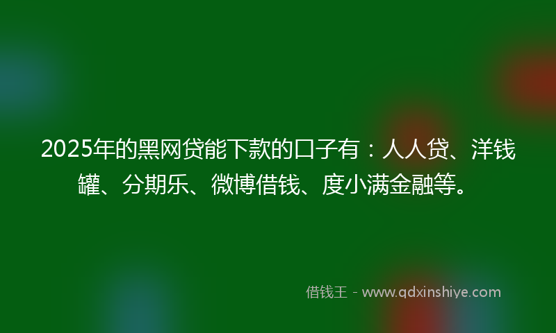 2025年的黑网贷能下款的口子有：人人贷、洋钱罐、分期乐、微博借钱、度小满金融等。
