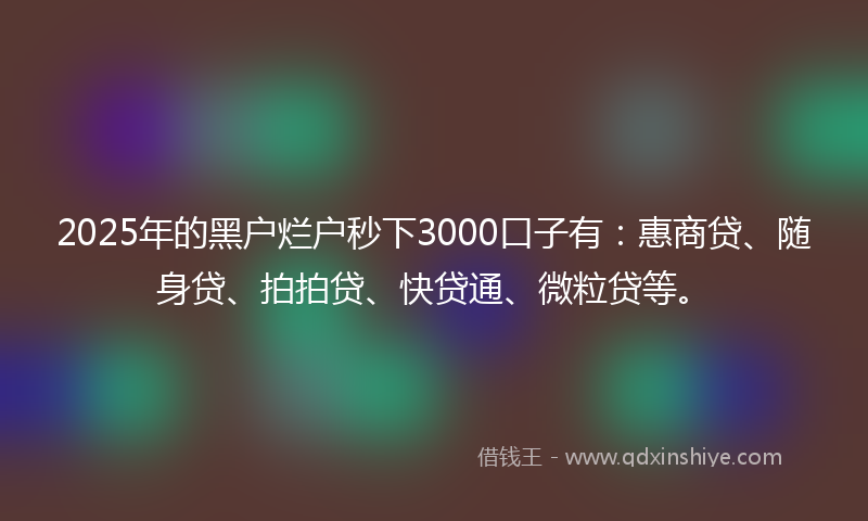 2025年的黑户烂户秒下3000口子有：惠商贷、随身贷、拍拍贷、快贷通、微粒贷等。