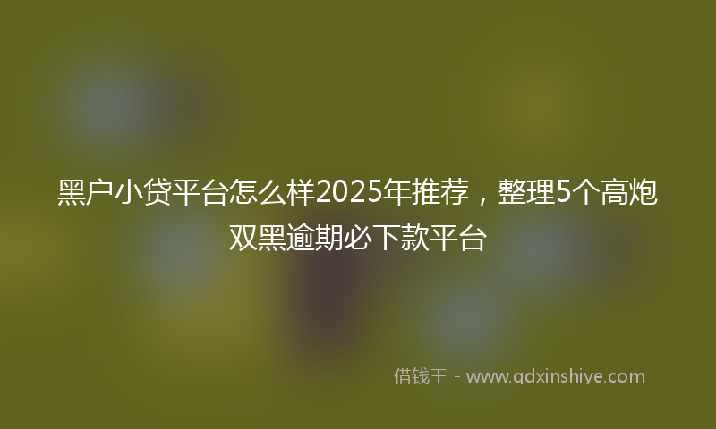 黑户小贷平台怎么样2025年推荐，整理5个高炮双黑逾期必下款平台