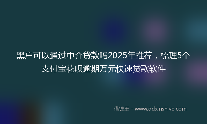 黑户可以通过中介贷款吗2025年推荐，梳理5个支付宝花呗逾期万元快速贷款软件