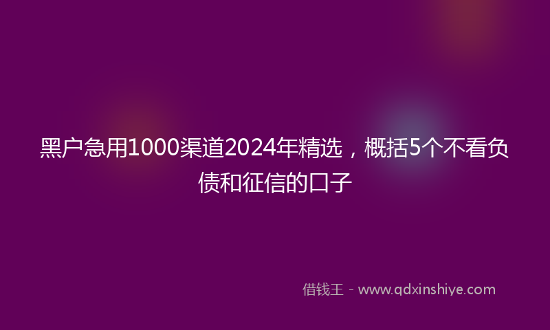 黑户急用1000渠道2024年精选，概括5个不看负债和征信的口子