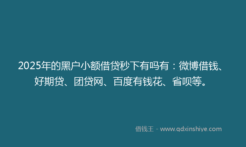 2025年的黑户小额借贷秒下有吗有：微博借钱、好期贷、团贷网、百度有钱花、省呗等。