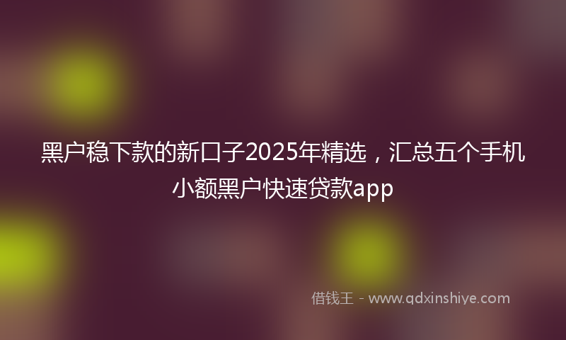 黑户稳下款的新口子2025年精选，汇总五个手机小额黑户快速贷款app