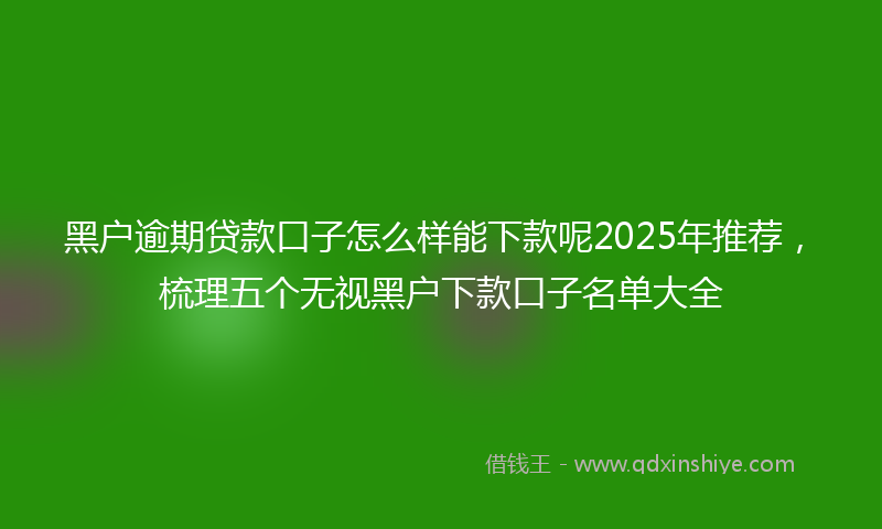 黑户逾期贷款口子怎么样能下款呢2025年推荐，梳理五个无视黑户下款口子名单大全