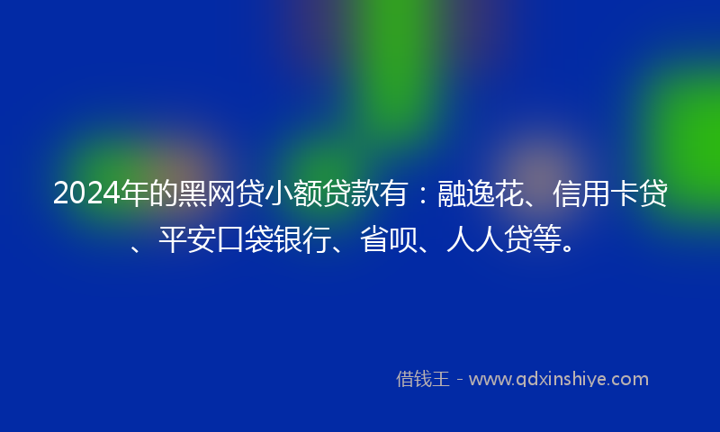 2024年的黑网贷小额贷款有：融逸花、信用卡贷、平安口袋银行、省呗、人人贷等。