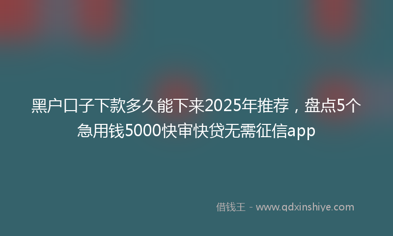 黑户口子下款多久能下来2025年推荐，盘点5个急用钱5000快审快贷无需征信app