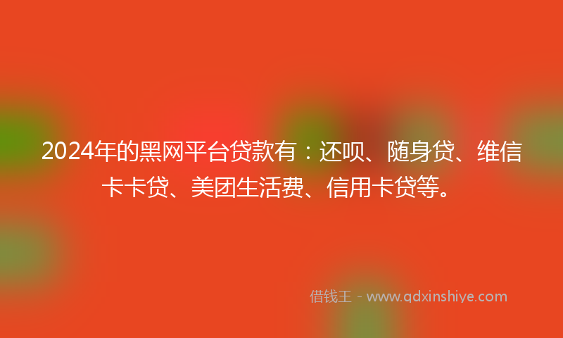 2024年的黑网平台贷款有：还呗、随身贷、维信卡卡贷、美团生活费、信用卡贷等。