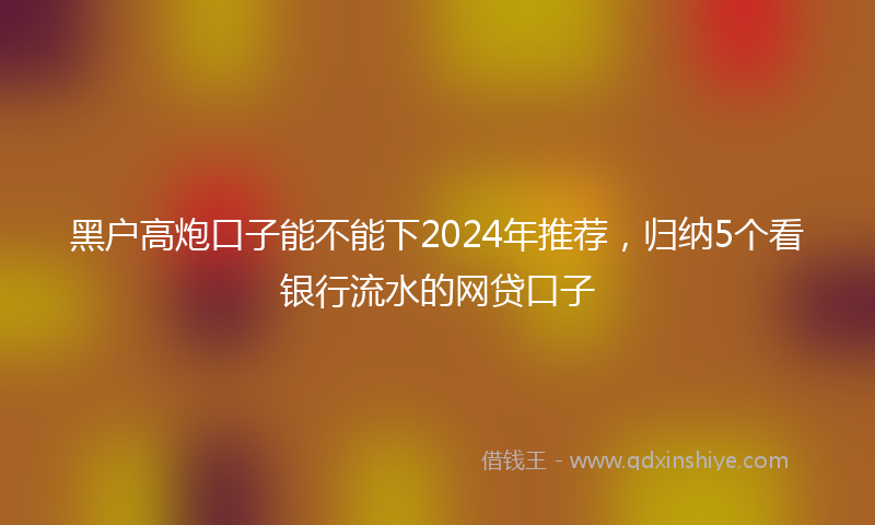 黑户高炮口子能不能下2024年推荐，归纳5个看银行流水的网贷口子