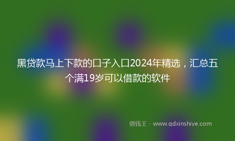 黑贷款马上下款的口子入口2024年精选，汇总五个满19岁可以借款的软件