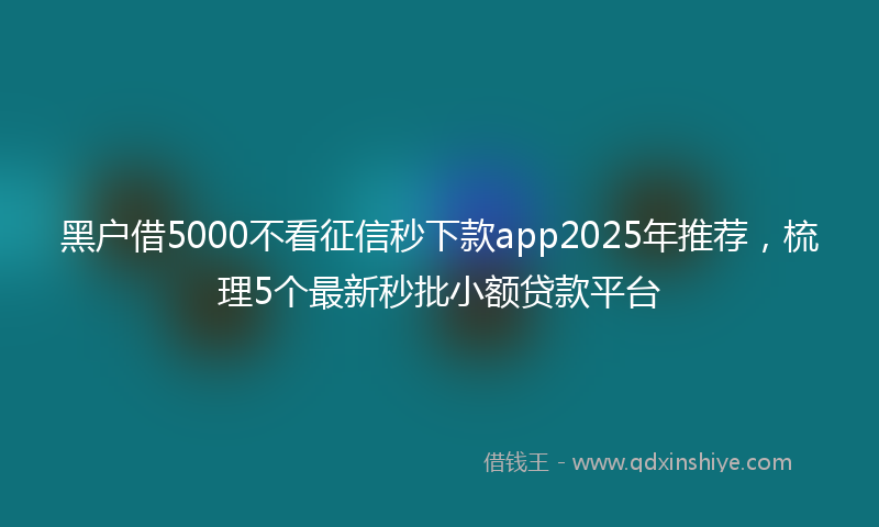 黑户借5000不看征信秒下款app2025年推荐，梳理5个最新秒批小额贷款平台