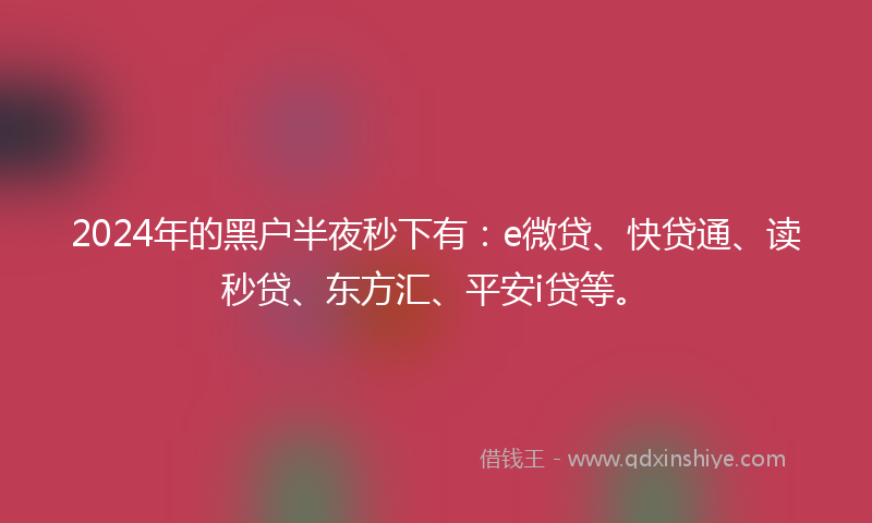2024年的黑户半夜秒下有：e微贷、快贷通、读秒贷、东方汇、平安i贷等。