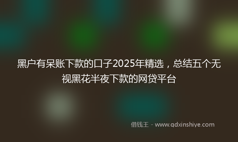 黑户有呆账下款的口子2025年精选，总结五个无视黑花半夜下款的网贷平台