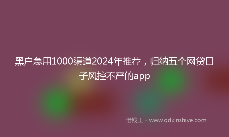 黑户急用1000渠道2024年推荐，归纳五个网贷口子风控不严的app
