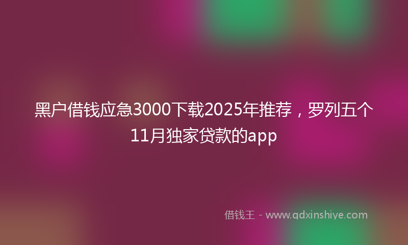 黑户借钱应急3000下载2025年推荐，罗列五个11月独家贷款的app