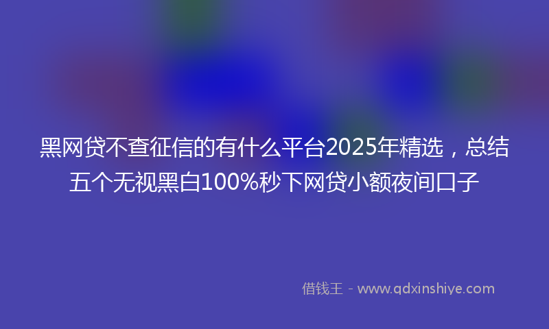 黑网贷不查征信的有什么平台2025年精选，总结五个无视黑白100%秒下网贷小额夜间口子