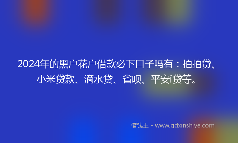 2024年的黑户花户借款必下口子吗有：拍拍贷、小米贷款、滴水贷、省呗、平安i贷等。