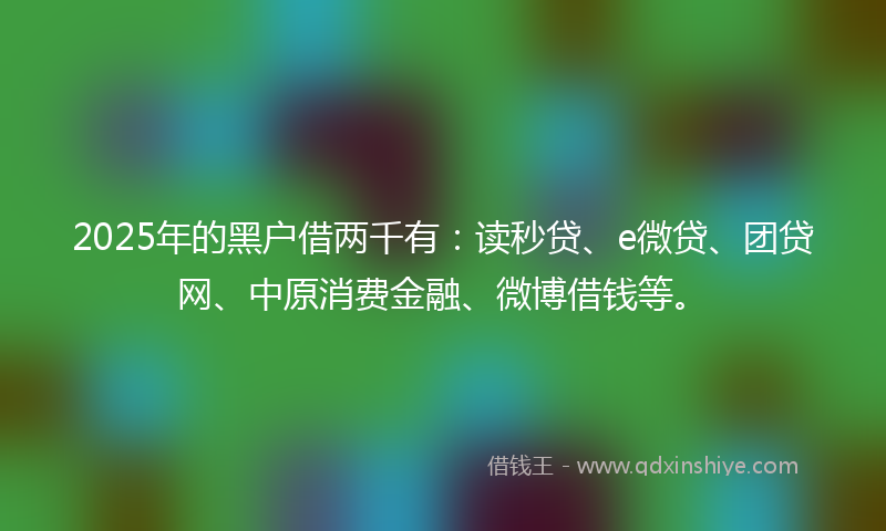 2025年的黑户借两千有：读秒贷、e微贷、团贷网、中原消费金融、微博借钱等。