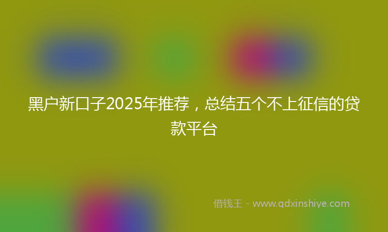 黑户新口子2025年推荐，总结五个不上征信的贷款平台