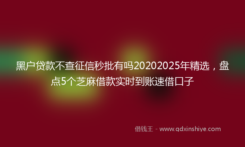 黑户贷款不查征信秒批有吗20202025年精选，盘点5个芝麻借款实时到账速借口子