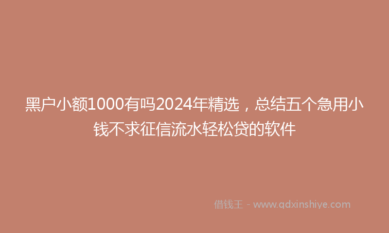 黑户小额1000有吗2024年精选，总结五个急用小钱不求征信流水轻松贷的软件