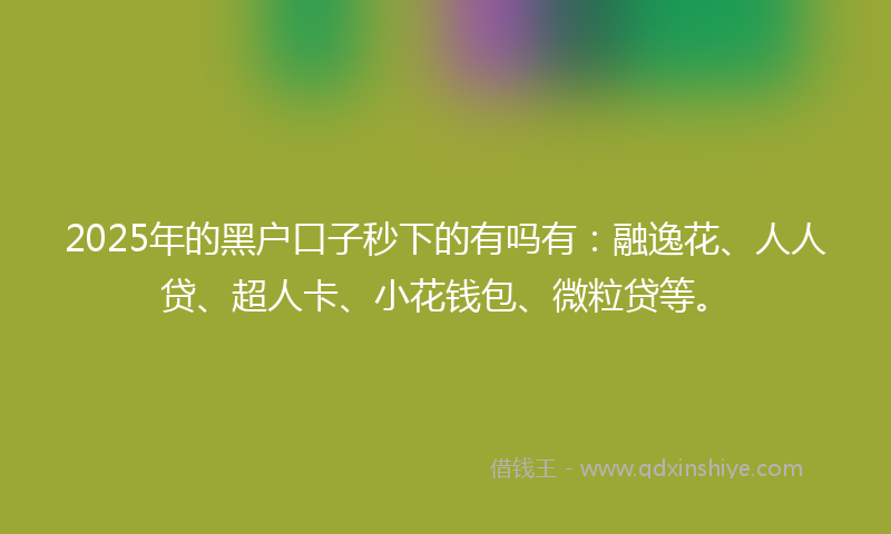 2025年的黑户口子秒下的有吗有：融逸花、人人贷、超人卡、小花钱包、微粒贷等。