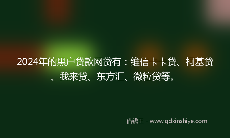 2024年的黑户贷款网贷有：维信卡卡贷、柯基贷、我来贷、东方汇、微粒贷等。