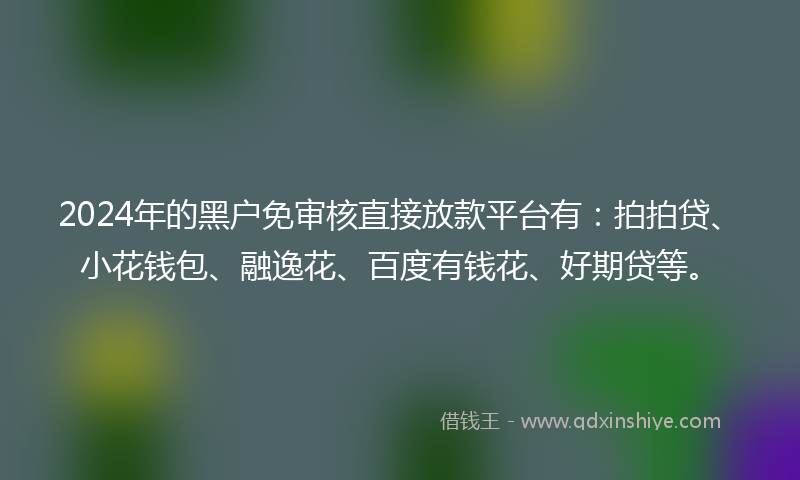 2024年的黑户免审核直接放款平台有：拍拍贷、小花钱包、融逸花、百度有钱花、好期贷等。