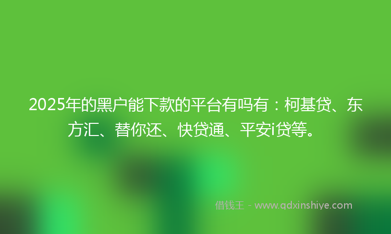 2025年的黑户能下款的平台有吗有：柯基贷、东方汇、替你还、快贷通、平安i贷等。