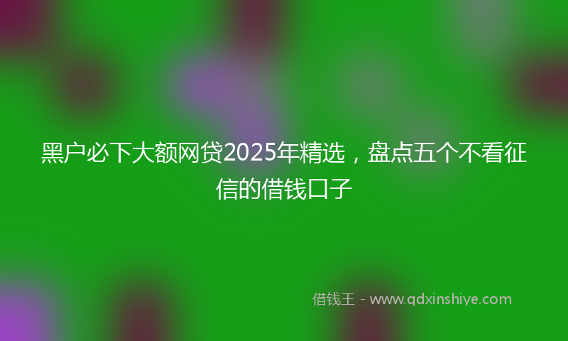 黑户必下大额网贷2025年精选，盘点五个不看征信的借钱口子