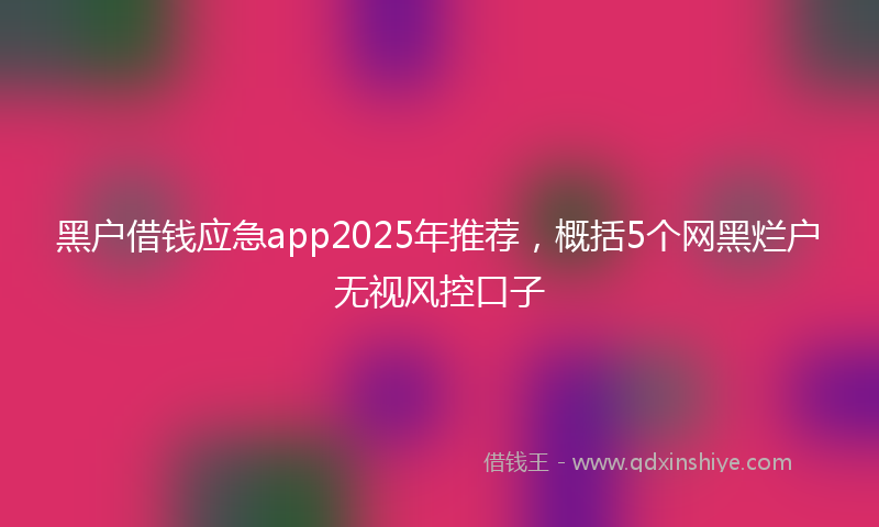黑户借钱应急app2025年推荐，概括5个网黑烂户无视风控口子