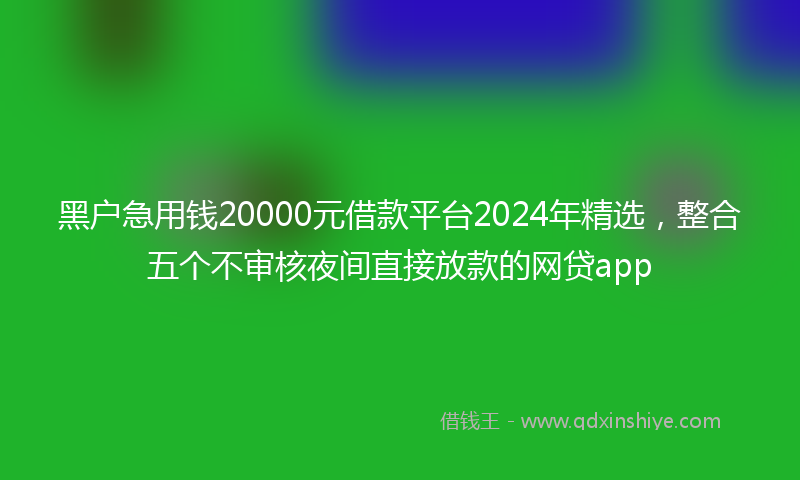 黑户急用钱20000元借款平台2024年精选,整合五个不审核夜间直接放款的网贷app