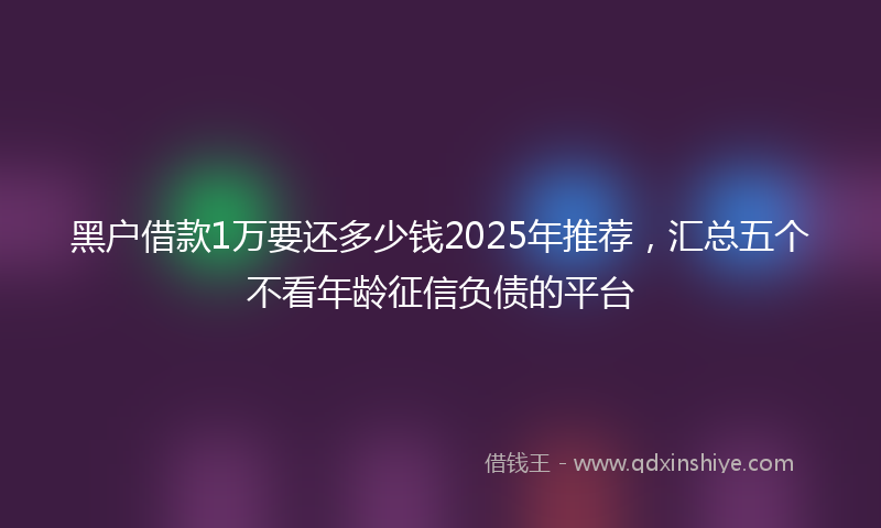 黑户借款1万要还多少钱2025年推荐，汇总五个不看年龄征信负债的平台
